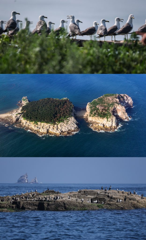 ยูเนสโกขึ้นทะเบียน “ถิ่นอาศัยของนกอพยพหมู่เกาะฉางซาน” ในต้าเหลียน เป็นมรดกโลกทางธรรมชาติแห่งใหม่